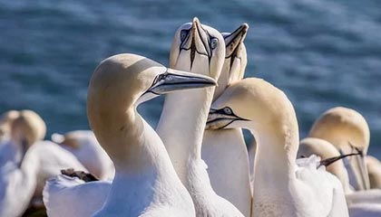 恨铁不成钢？王皓真怒了+狠批黄友政：在场上晃晃悠悠的 要死不活