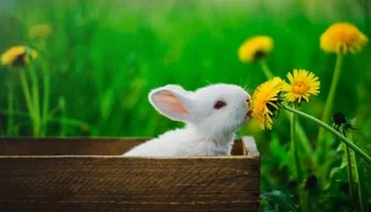 恨铁不成钢？王皓真怒了+狠批黄友政：在场上晃晃悠悠的 要死不活